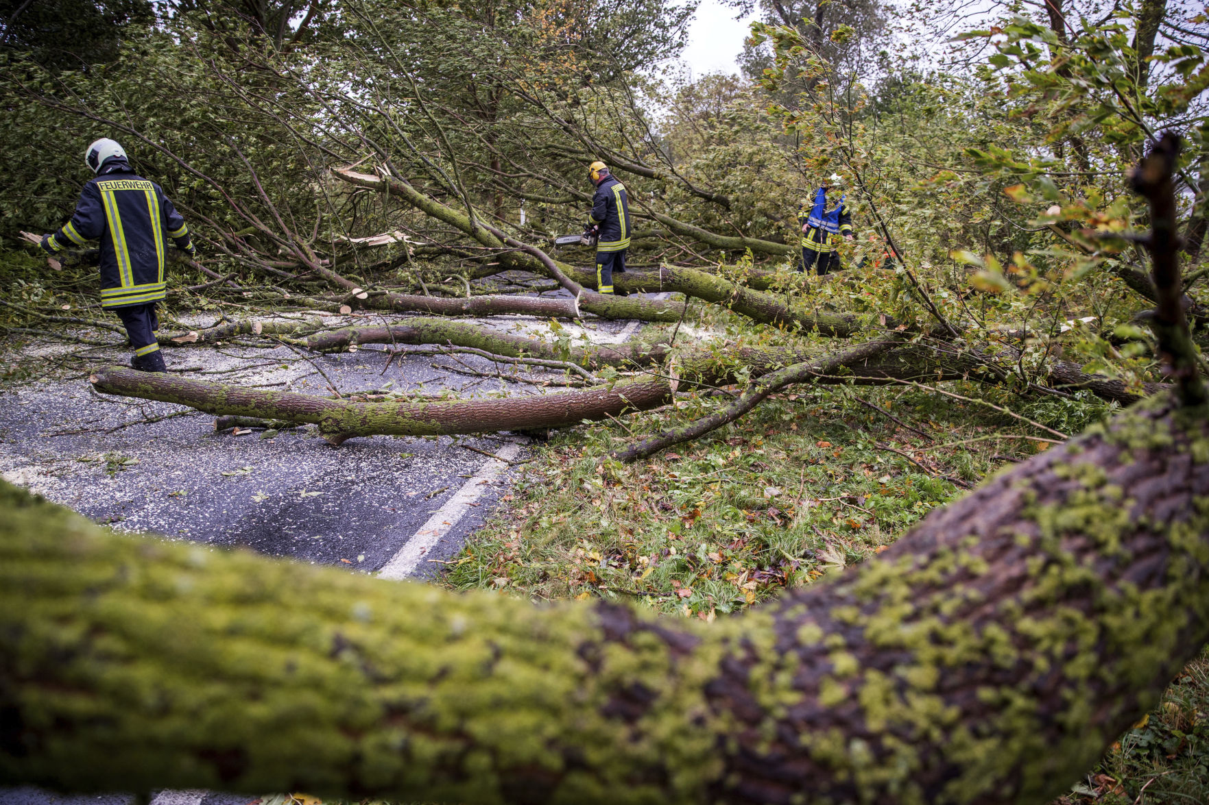 Germany Storm